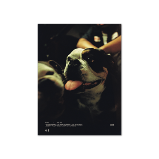 Bulldawg Tour Poster